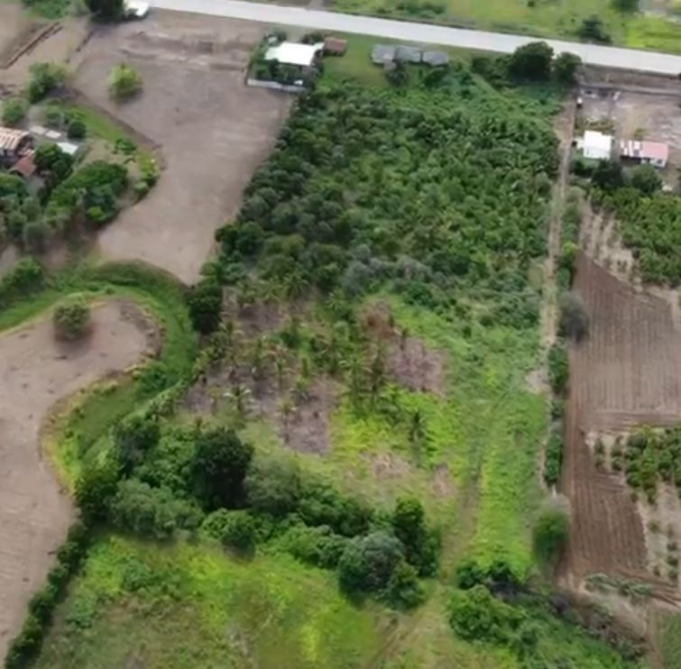 5 hectáreas de terreno